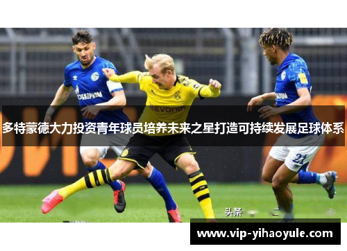 多特蒙德大力投资青年球员培养未来之星打造可持续发展足球体系 多特蒙德大力投资青年球员培养未来之星打造可持续发展足球体系