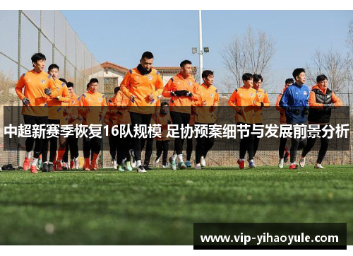 中超新赛季恢复16队规模 足协预案细节与发展前景分析