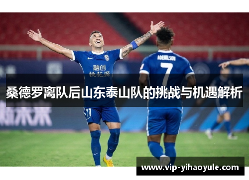 桑德罗离队后山东泰山队的挑战与机遇解析