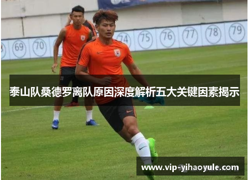 泰山队桑德罗离队原因深度解析五大关键因素揭示