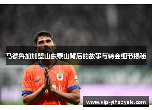 马德鲁加加盟山东泰山背后的故事与转会细节揭秘