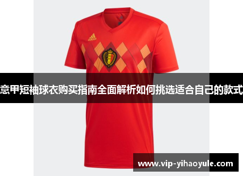 意甲短袖球衣购买指南全面解析如何挑选适合自己的款式