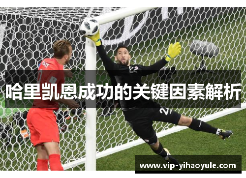 哈里凯恩成功的关键因素解析 哈里凯恩成功的关键因素解析